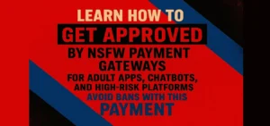 Approval Guidelines for NSFW Adult Payment Processor & Orchestration